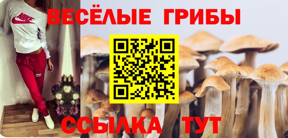 дарнет шоп  Псилоцибиновые грибы Cubensis  Вход с VPN  Партизанск 